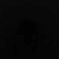 Glass: Wissmach 96 Black opaque