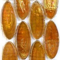 Radiant Ellipse: Morroco Radiant Ellipse: Morroco