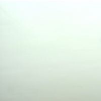 Wispy White Wispy White