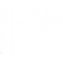 White Opal White Opal