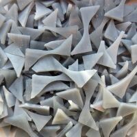 Glass: Grey Smoke offcuts