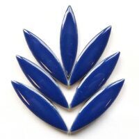 Ceramic Ellipse - Delphinium
