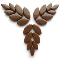 Glass Petals, Coffee