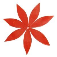 Stained Glass Petals: Transparent Tangerine, Large Stained Glass Petals: Transparent Tangerine, Large