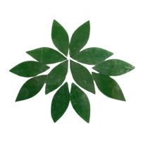 Stained Glass Petals: Transparent Green, Small