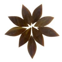 Stained Glass Petals: Antique Oak, Small Stained Glass Petals: Antique Oak, Small