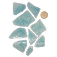 Ceramic Shards, Plant Life, 200g