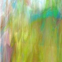 Glass Strips (Premium Glass)