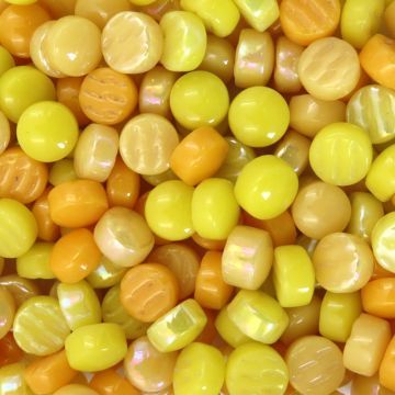 Optic Drops: French Mustard