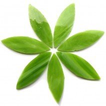 Stained Glass Petals: Green Tea Large