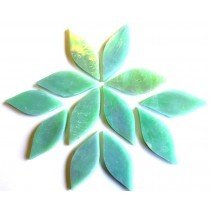 Petals: Pistachio Ice Small (iridised)