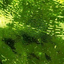 Mirror Strips: Seaweed