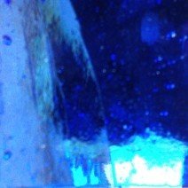 Mirror Strips: French Blue
