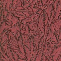 Cranberry Red