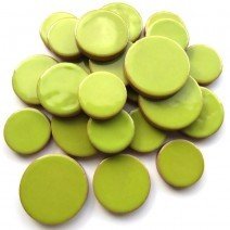 Ceramic Discs: Kiwi