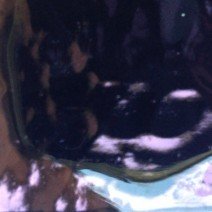 Mirror Strips: Prune Mirror Strips: Prune