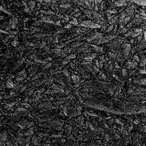 Van Gogh: Black Sparkle