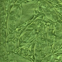 Van Gogh Glass: Spring green