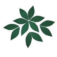 Stained Glass Petals: Teal transparent, Small Stained Glass Petals: Teal transparent, Small