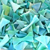 Glass: Parrotfish offcuts