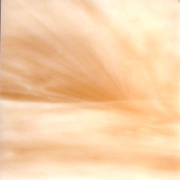 Coral Wispy Coral Wispy