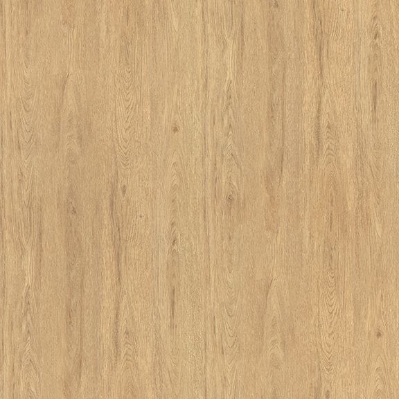 WC146
