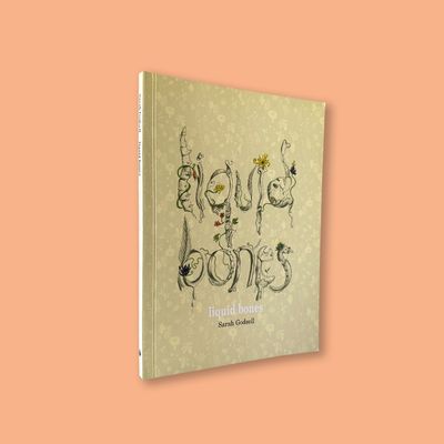 Liquid Bones by Sarah Godsell (Impepho Press, 2018)