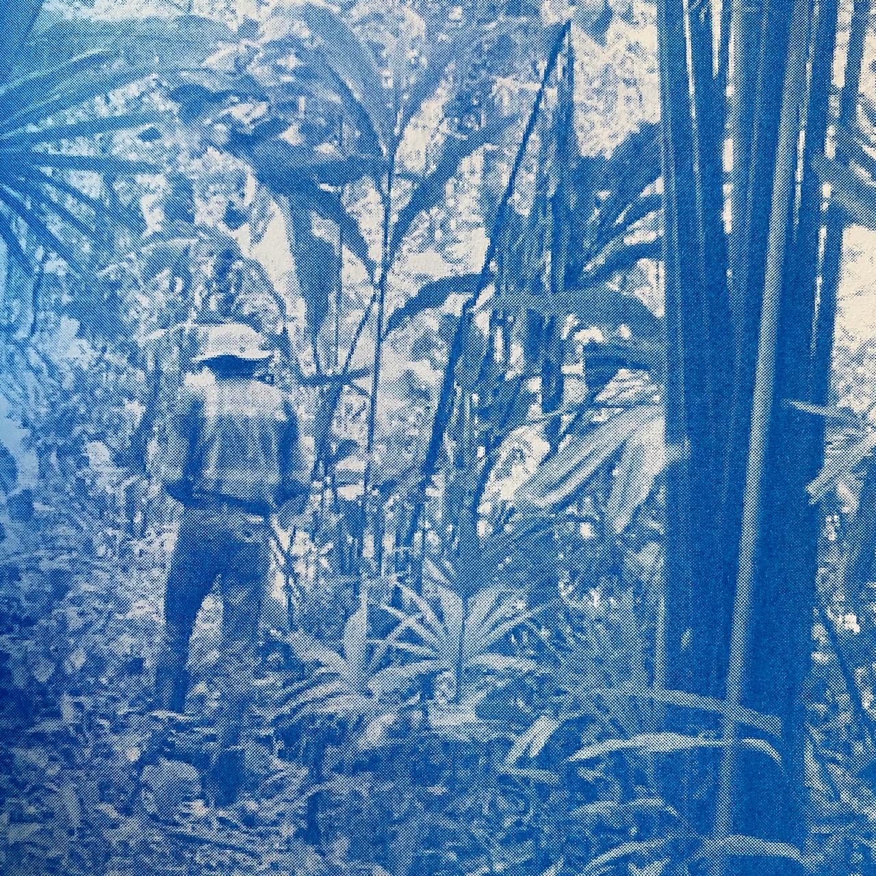 Chimurenganyana: Forest Notebooks by Mario Lewis (April, 2025)