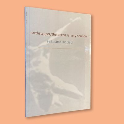 earthstepper/the ocean is very shallow by Seitlhamo Motsapi (Deep South, 2003)