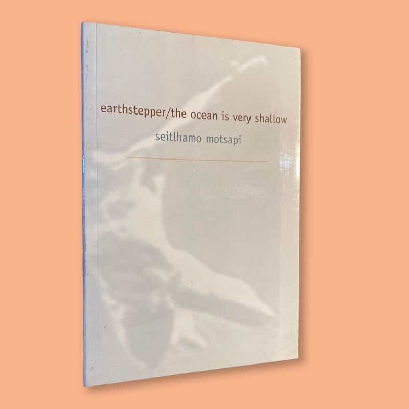 earthstepper/the ocean is very shallow by Seitlhamo Motsapi (Deep South, 2003)