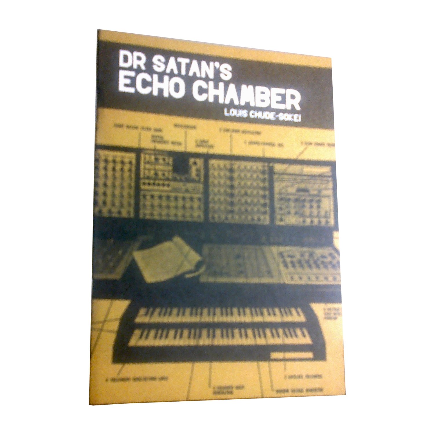 Chimurenganyana Series 2: Dr Satan&#39;s Echo Chamber by Louise Chude-Sokei (June 2012)