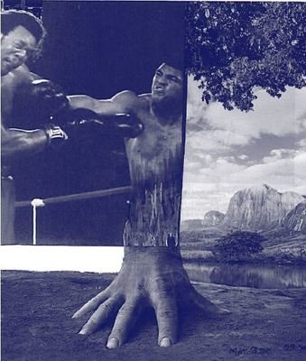 Chimurenga 14: Everyone Has Their Indian (April 2009)