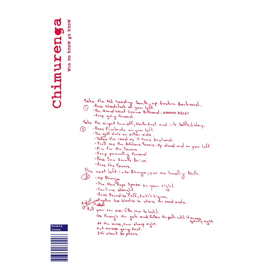 Chimurenga 12/13 - Dr Satan’s Echo Chamber (Double-Issue March 2008) Digital