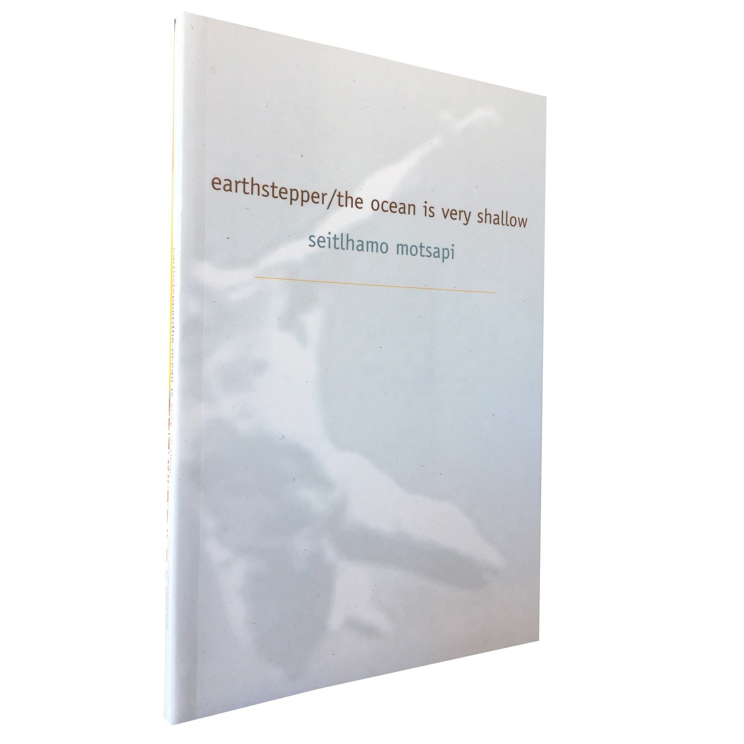 earthstepper/the ocean is very shallow by seitlhamo motsapi (Deep South) earthstepper/the ocean is very shallow by seitlhamo motsapi (Deep South)