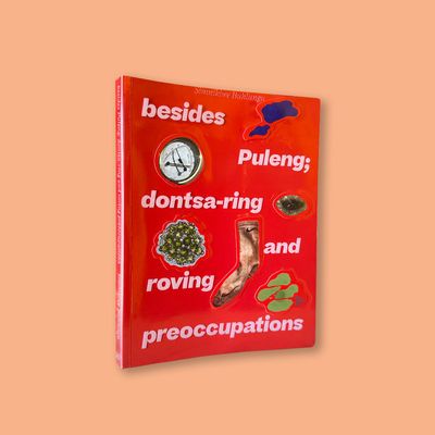 Besides Puleng; dontsa-ring and roving preoccupations by Simnikiwe Buhlungu (Chisenhale Gallery, Kunstinstituut Melly and Mousse Publishing)