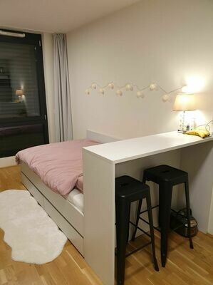 Single apartment for students & professionals