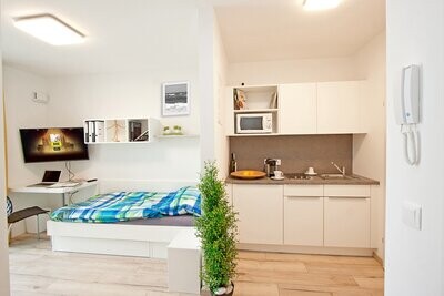 Single Studio in Vienna with Private Kitchen and Bathroom