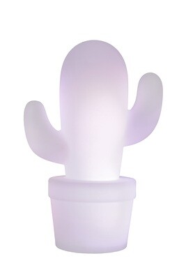 CACTUS portable and rechargeable Lamp for Outdoor and Indoor