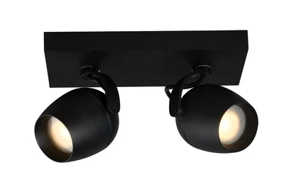 PRESTON Orientable Ceiling spotlight 2xGU10 IP44 Black