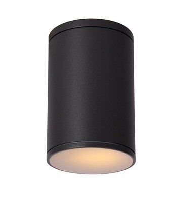 Surface Ceiling mounted