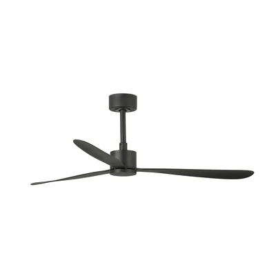 Modern ceiling fans