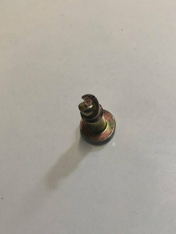 Speed screw