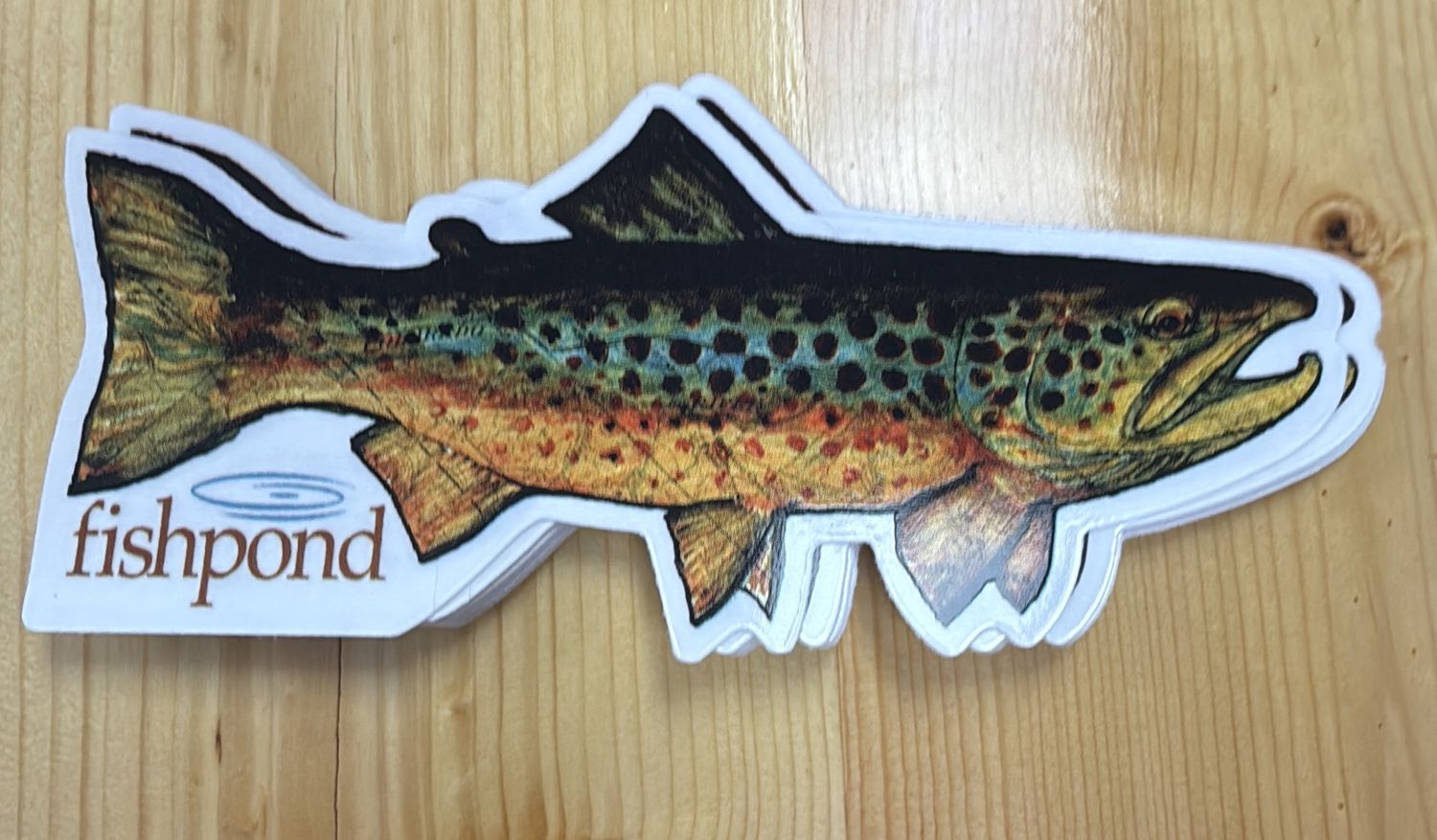 Fishpond Brown Trout Sticker