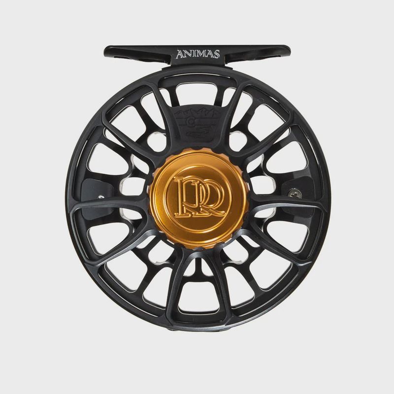 Reels