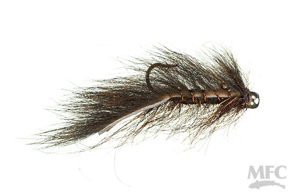 Balanced Squirrel Leech