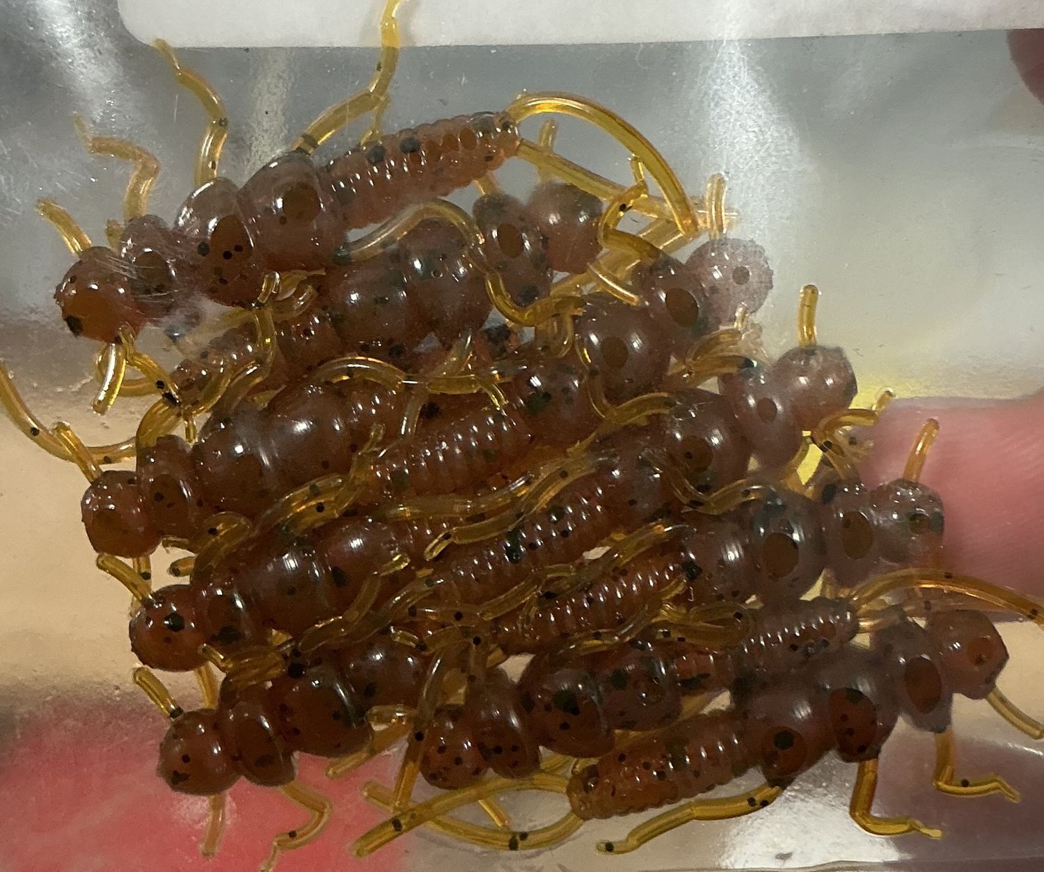 Nymph, Colour: Turd:30