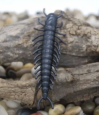 Baby Hellgrammite