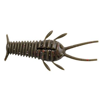 Ned Bug
