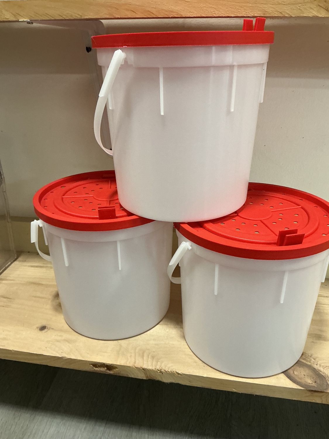 Minnow Bucket