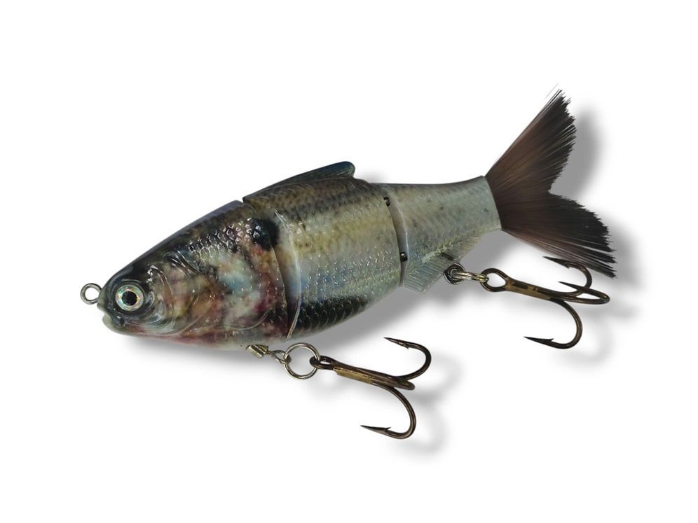 Ojibwe, Colour: Glizzard Shad